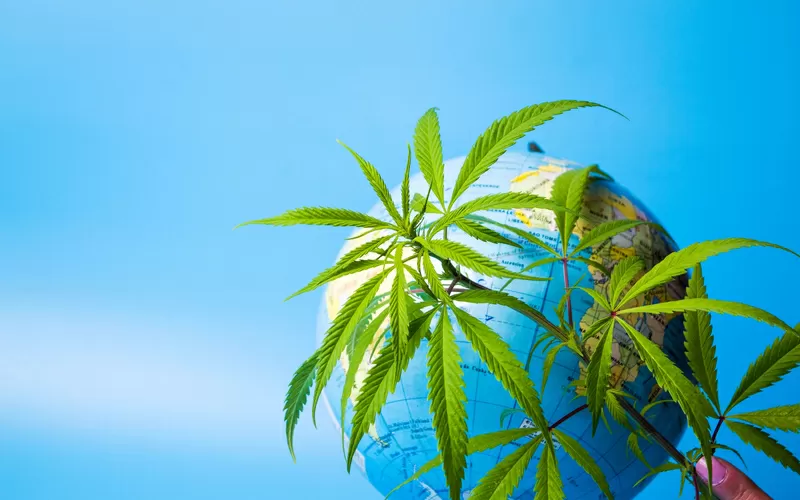 Marijuana leaf globe world international cannabis pot weed getty