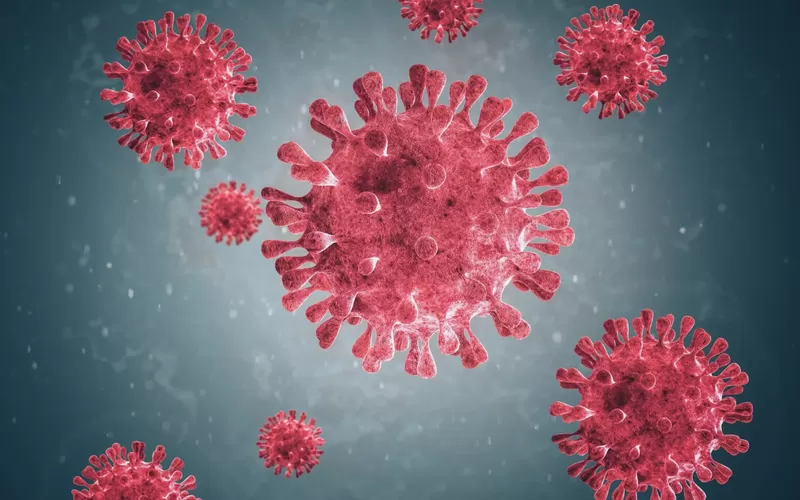 Metapneumovirus cosa e virus