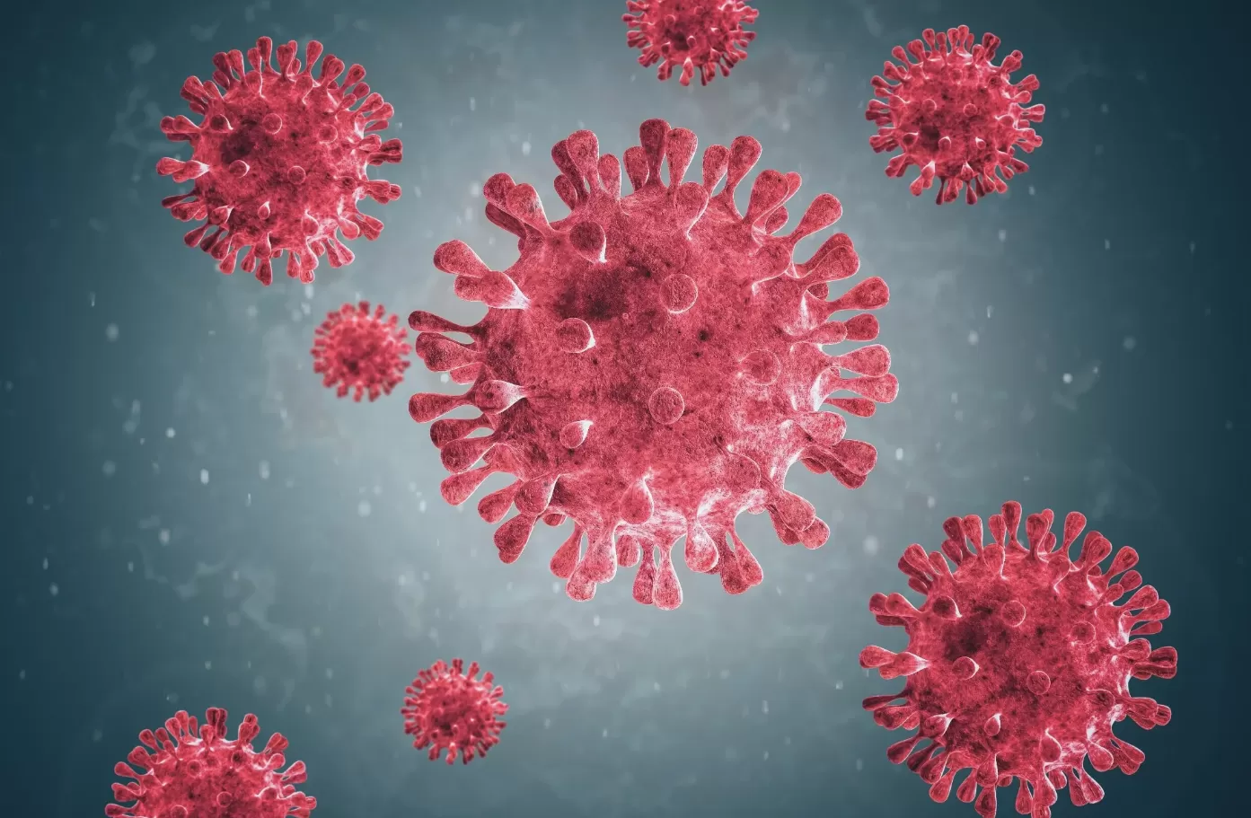 Metapneumovirus cosa e virus