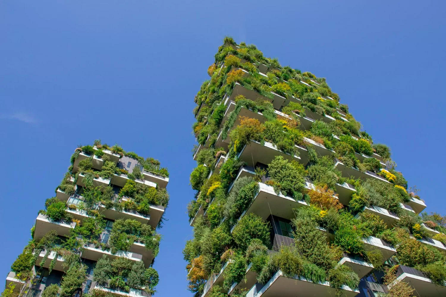 Edifici verdi ambiente